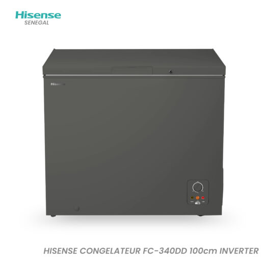 CONGELATEUR HISENSE HORIZONTAL 340LITRES INVERTER GRIS FC340DD